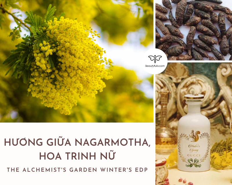 nước hoa Gucci 100ml