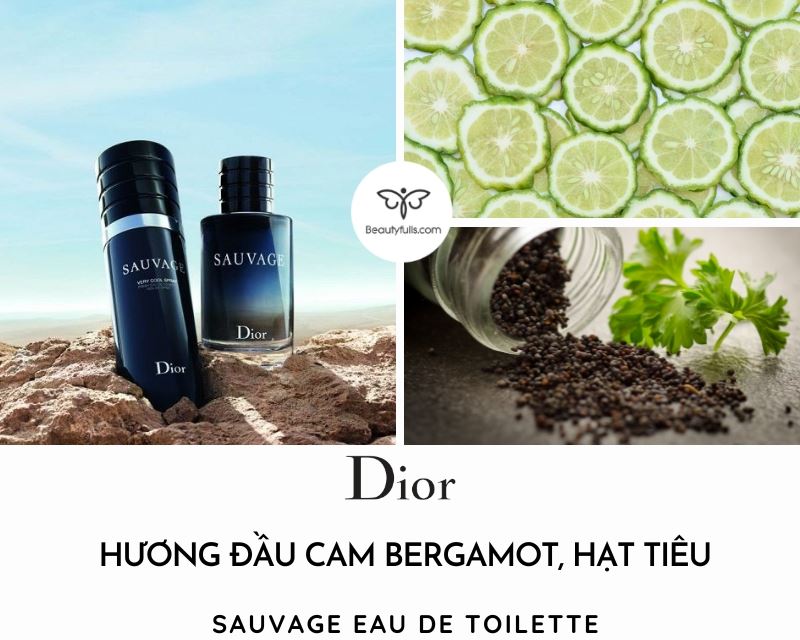 Nước Hoa Dior Sauvage