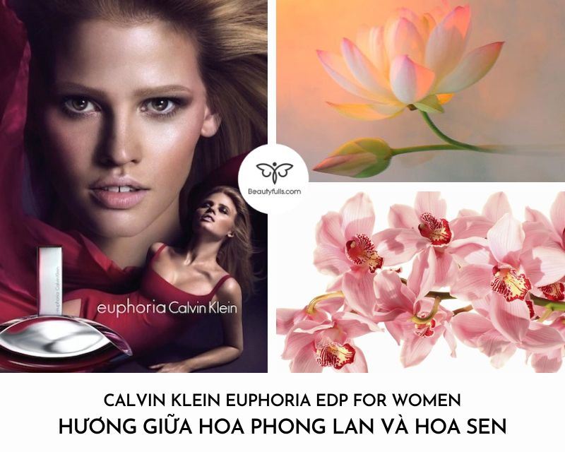 calvin klein euphoria