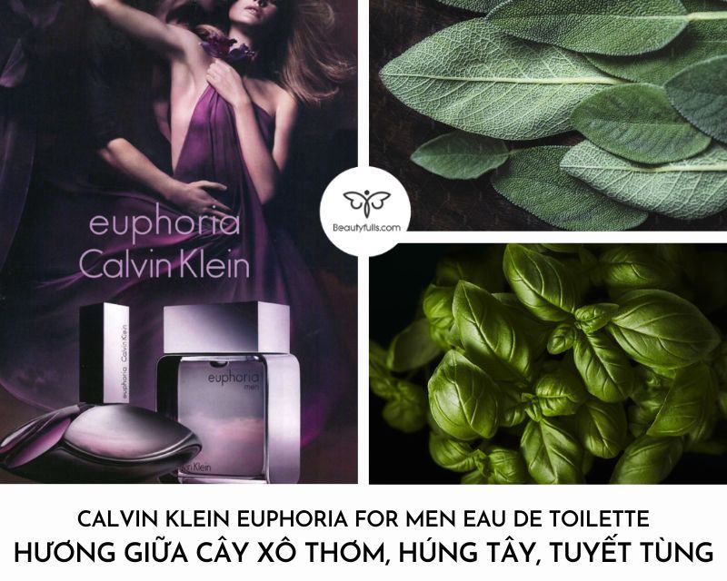 calvin klein euphoria edt 50ml