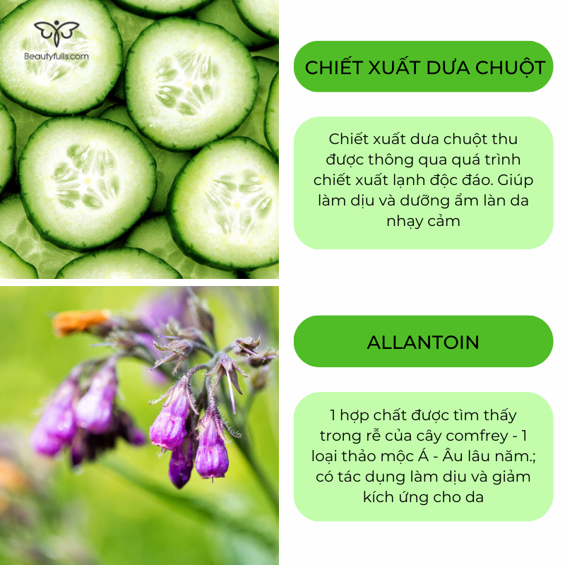 nước hoa hồng kiehl's cucumber herbal alcohol free toner