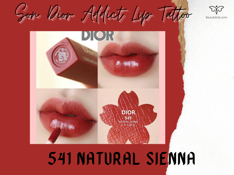 Son kem DIOR 541 Natural Sienna  Addict Lip Tattoo  Đỏ Đất 