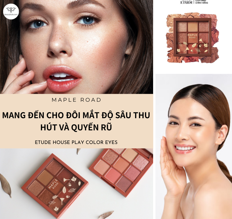 etude-house-play-color-eyes-maple-road
