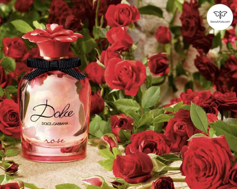 Nước Hoa Dolce & Gabbana Rose Dolce Eau de Toilette