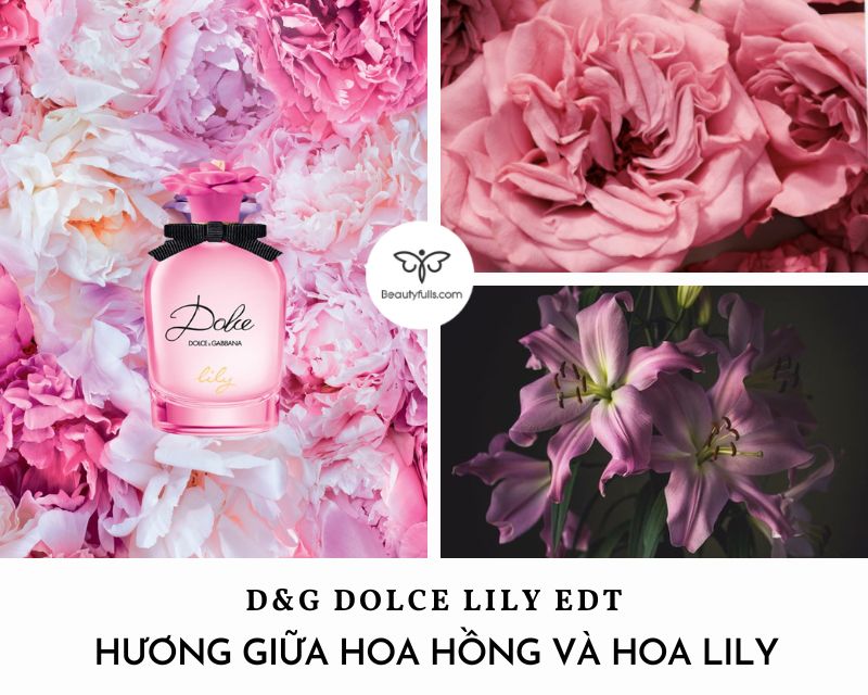 nuoc-hoa-dolce-lily
