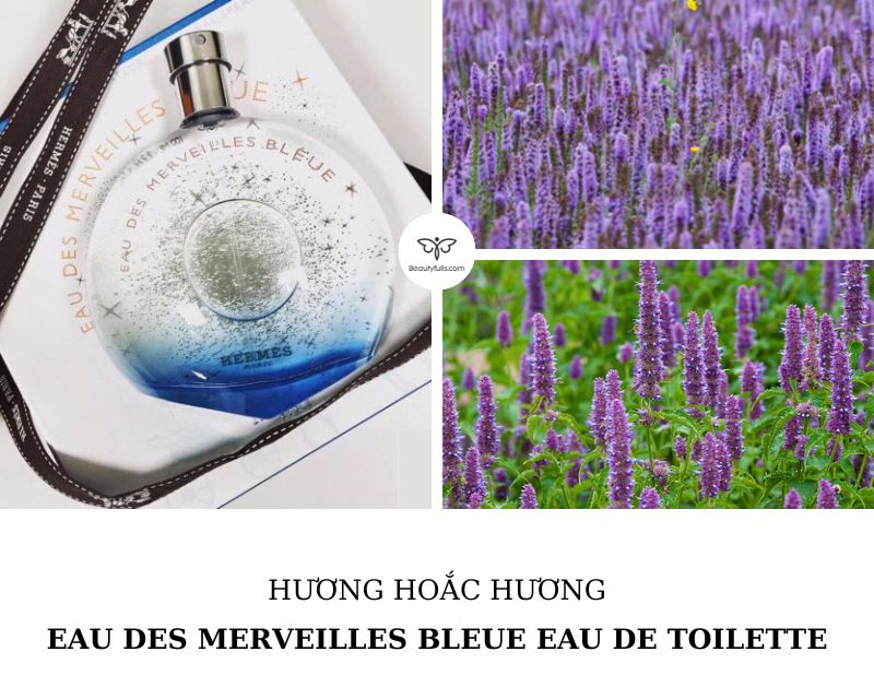nuoc-hoa-hermes-eau-des-merveilles-bleue-edt