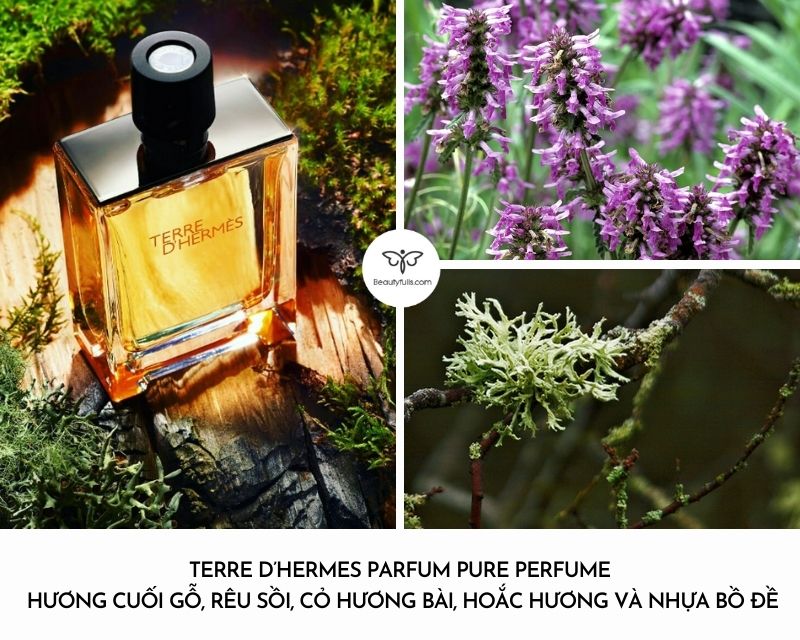 nuoc-hoa-nam-terre-d-hermes-parfum