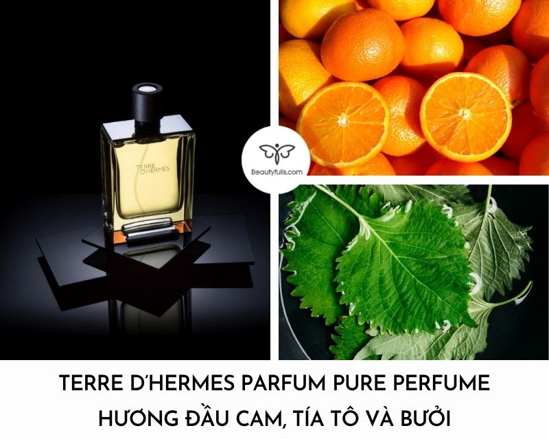 nuoc-hoa-terre-d-hermes-parfum-pure-perfume