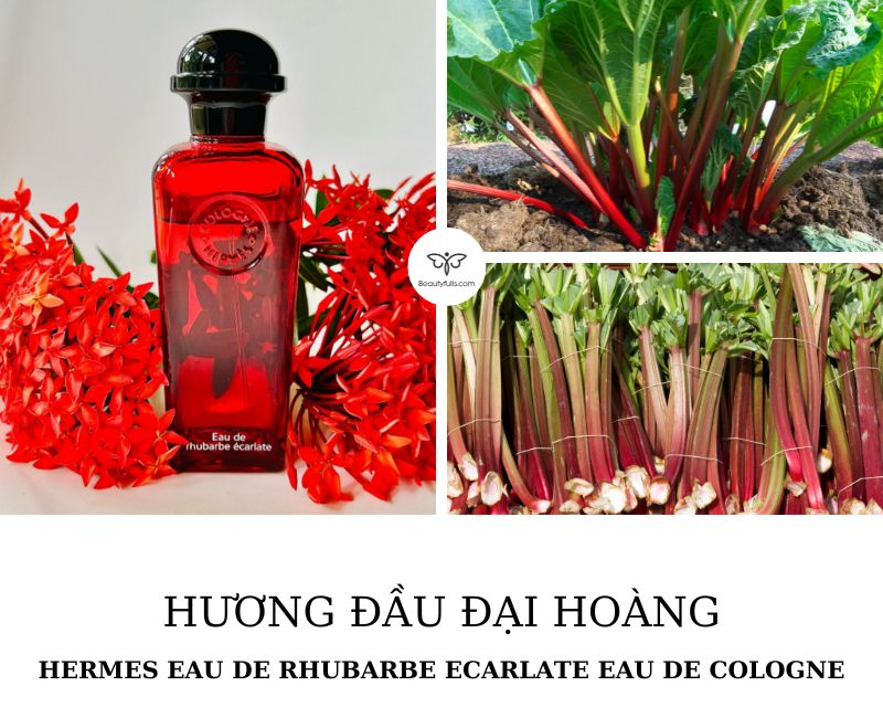 eau-de-rhubarbe-ecarlate-cologne