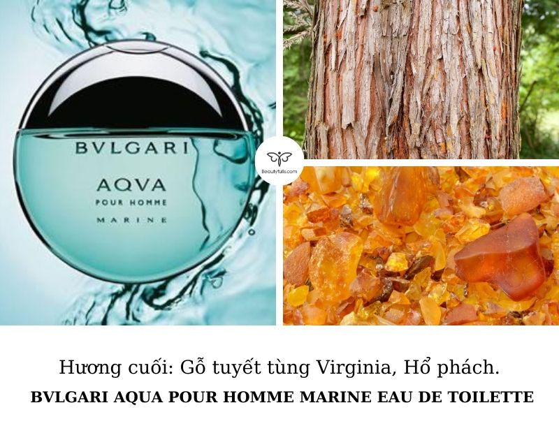 nuoc-hoa-bvlgari-aqva-pour-homme-marine-edt