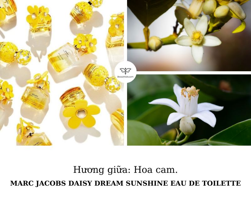 daisy-dream-sunshine-eau-de-toilette