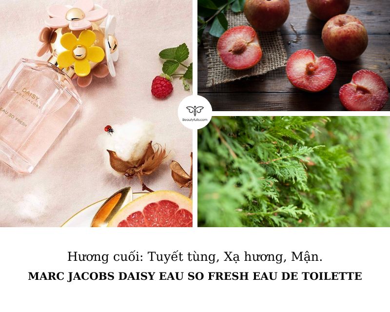 nuoc-hoa-daisy-marc-jacobs-eau-so-fresh