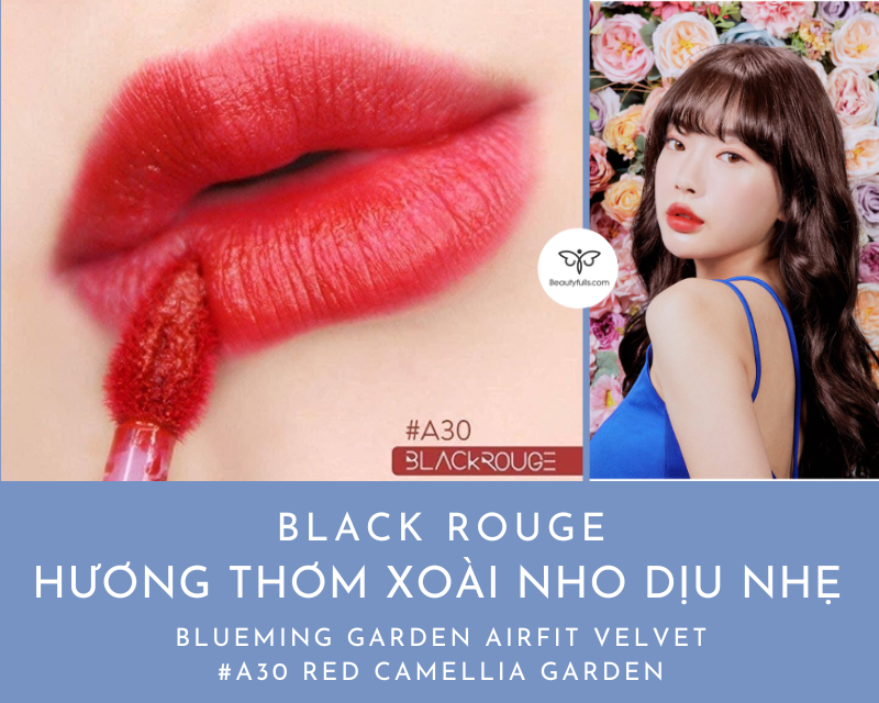 black-rouge-a30-red-camellia-garden
