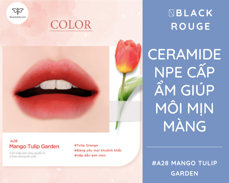 son-black-rouge-mango-tulip-garden