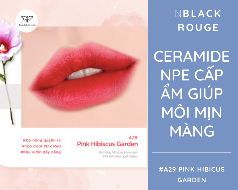 son-black-rouge-pink-hibiscus-garden
