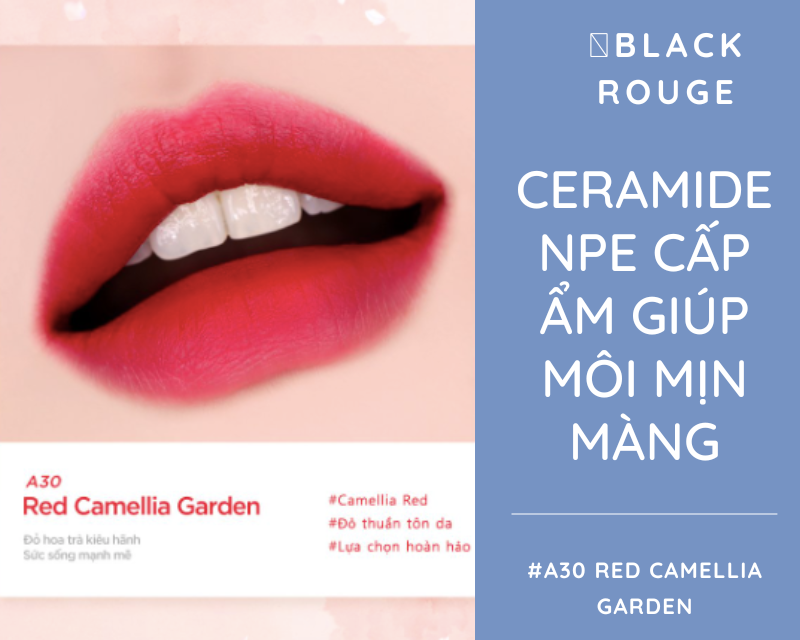 son-black-rouge-red-camellia-garden