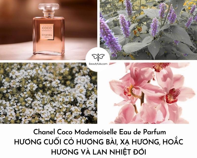 chanel-coco-mademoiselle.jpg