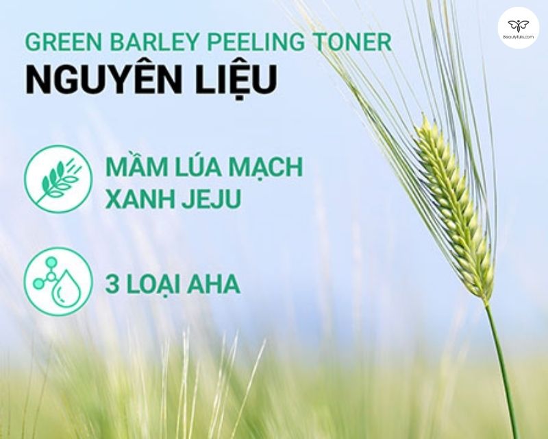 innisfree-green-barley-toner
