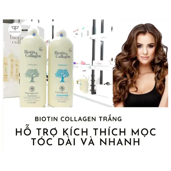 Cặp Dầu Gội Biotin Collagen 