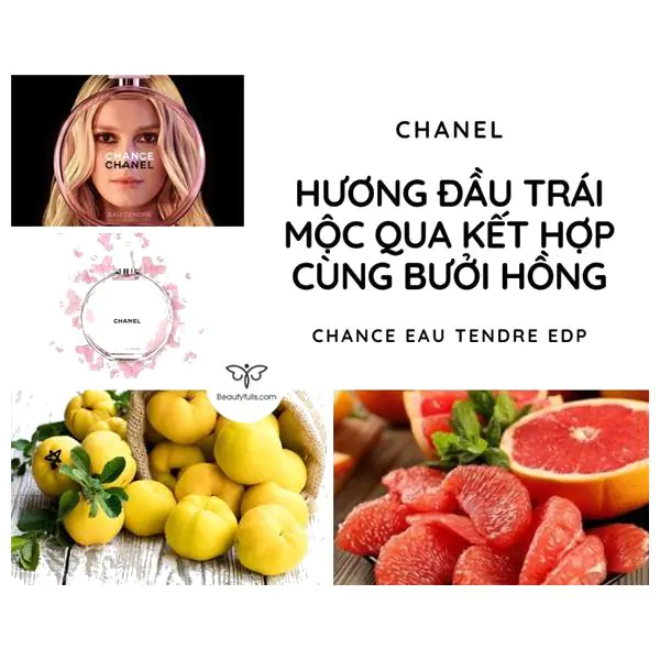 Chanel Hồng Chance Eau Tendre EDP 50ml