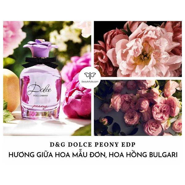 d&g dolce peony