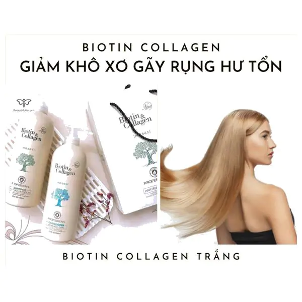 Dầu Gội Biotin Collagen 