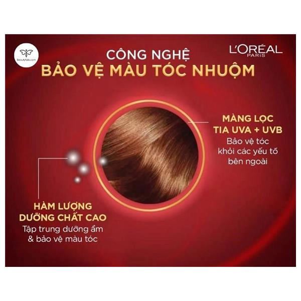 Dầu xả Loreal Elseve Color Protect 7 Weeks Protecting