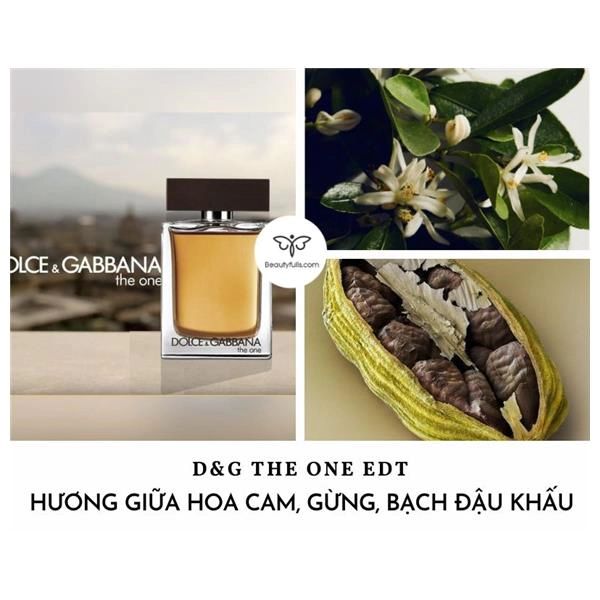 dg the one for him edt