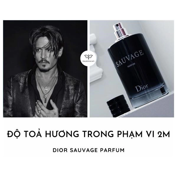 Dior Sauvage nam Parfum