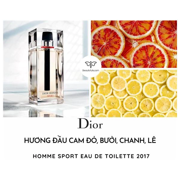 Dior Sport Homme 2017