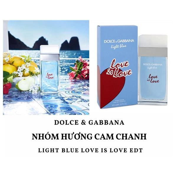 dolce & gabbana light blue love is love