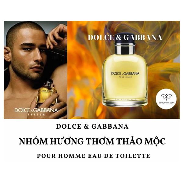 Nước Hoa Dolce & Gabbana Pour Homme 75ml Eau de Toilette