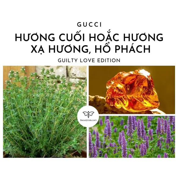 Gucci Hồng Guilty Love Edition Eau De Parfum 