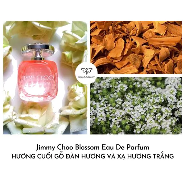 Jimmy Choo Blossom 