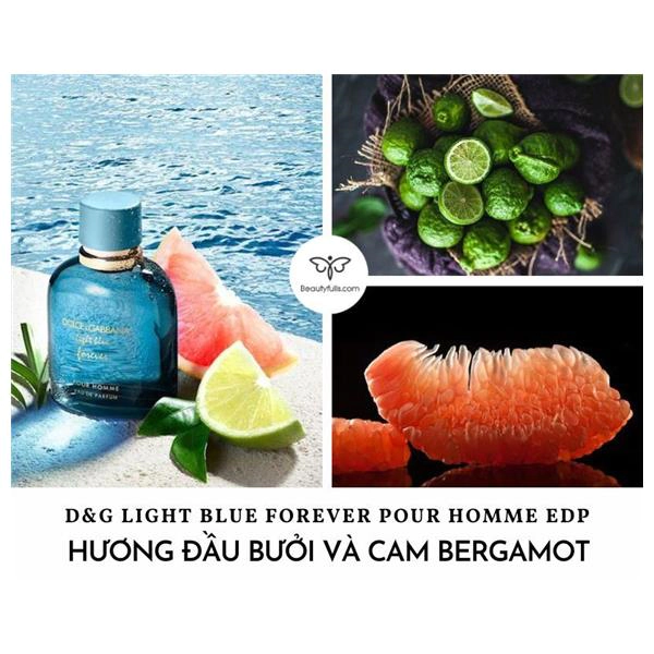 light blue forever pour homme dolce&gabbana