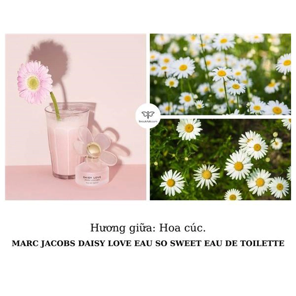 marc jacobs daisy love eau so sweet