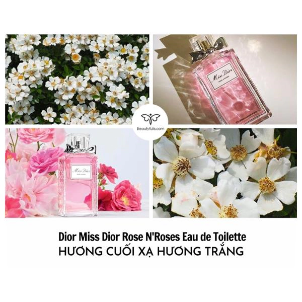 Nước hoa nữ Miss Dior Rose NRoses của hãng Christian Dior