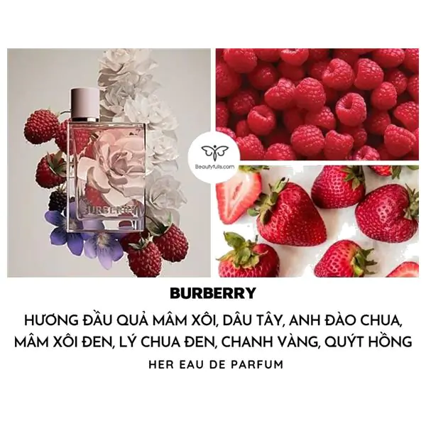 nước hoa Burberry hồng