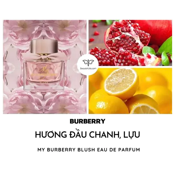 nước hoa Burberry My Burberry