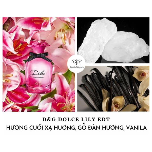 nước hoa dg dolce lily