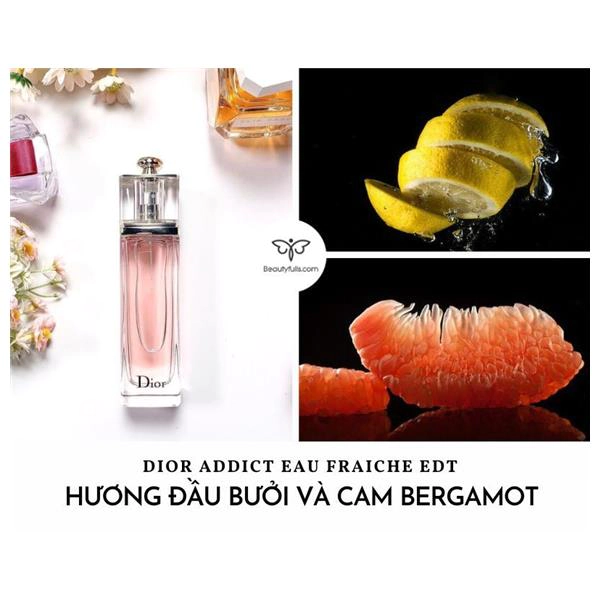 Nước Hoa Dior Addict Eau Fraiche  Authentic 100 Made In France