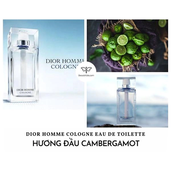 Christian Dior Homme Cologne  Loven Mour 