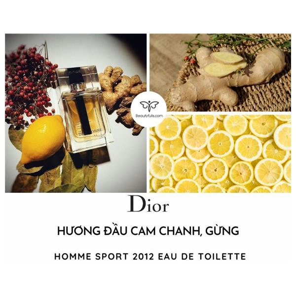 Nước Hoa Dior Homme Sport 2012 Eau de Toilette 