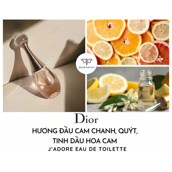nước hoa Dior J’adore Eau De Toilette