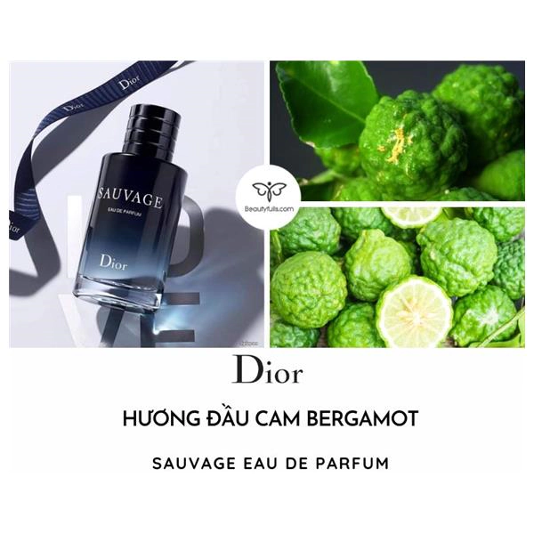 nước hoa Dior nam