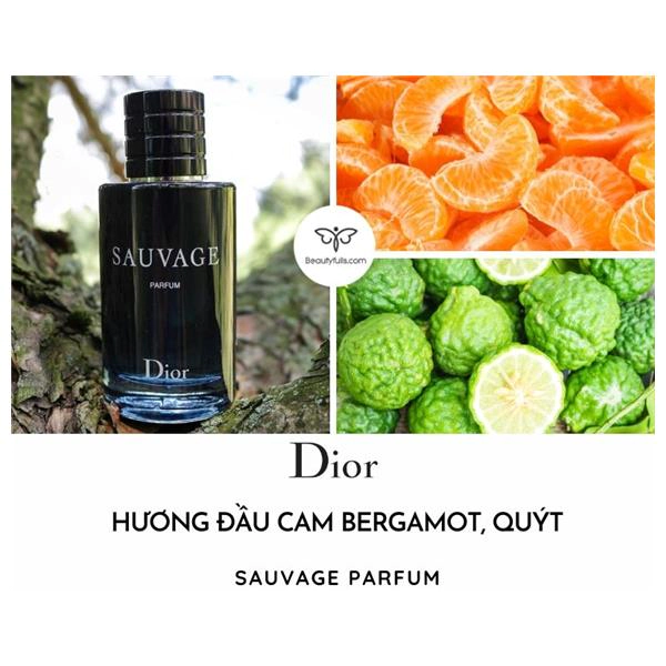 Nước Hoa Dior Sauvage Parfum 100ml Nam