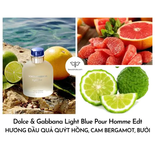 Nước Hoa Dolce And Gabbana Light Blue Pour Homme EDT 125ml
