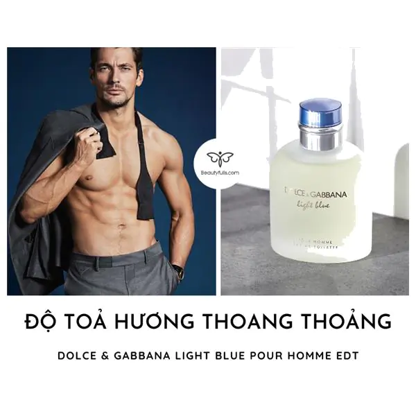 Nước Hoa Dolce And Gabbana Light Blue Pour Homme EDT 75ml