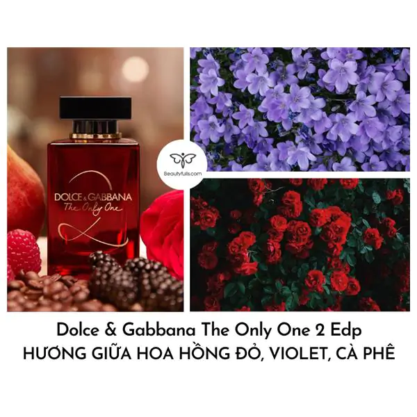 Nước Hoa Dolce And Gabbana The Only One 2 EDP 