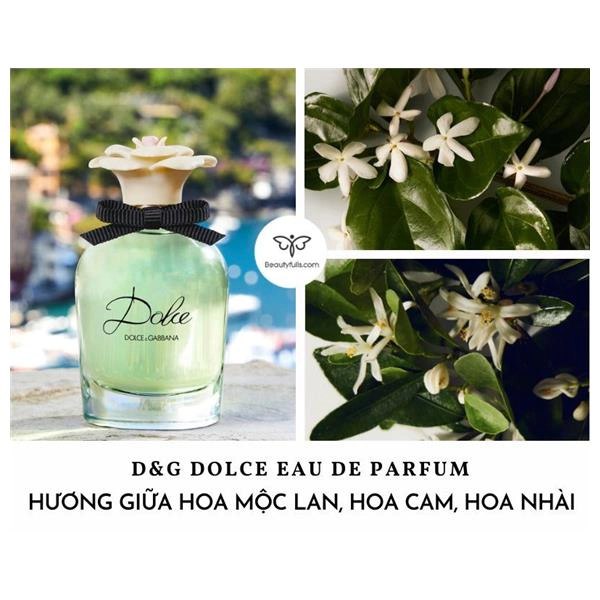 nước hoa dolce & gabbana dolce